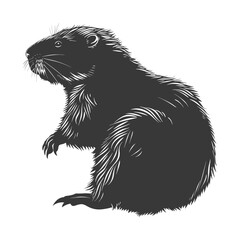 Obraz premium Silhouette beaver animal black color only