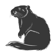 Obraz premium Silhouette beaver animal black color only