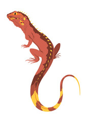 Lizard icon. Tropical colorful decorative amphibian. Fauna character in wildlife or zoo. Wildlife colorful creature isolated on white vector illustration