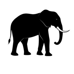 Fototapeta premium elephant silhouette on transparent bg