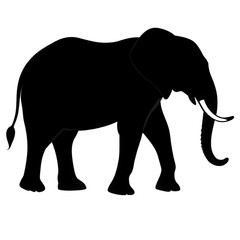 Fototapeta premium elephant silhouette on transparent bg