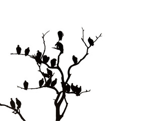 A black silhouette cutout of vultures in a bare tree. White background. High contrast. Room for...