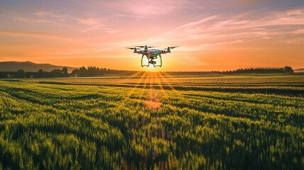 Drone over lush green fields at sunset