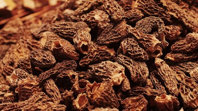 Dry morel mushrooms are stacked in a pile, perfect for upscale dishes and cooking purposes