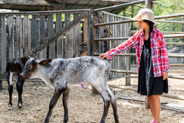 Latina peasant girl touching little calf's tail as it walks away from her