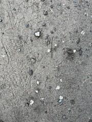 Sandy Beach Background