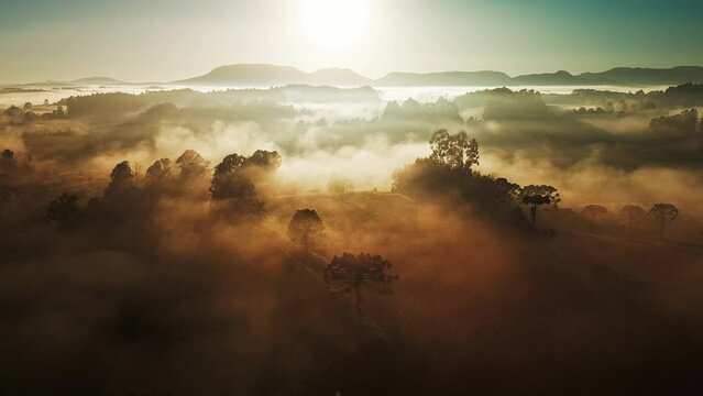 Aerial view of the valley with fog. Area near the town of Urupema on Brazilian highlands in the state of Santa Catarina in Brazil