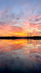 Stunning Sunset over Ladoga Lake with Reflections and Reeds. Vertical Shoot 