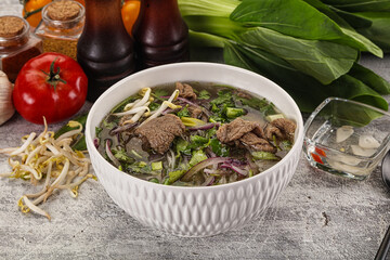 Vietnamese cuisine - Pho Bo soup with beef