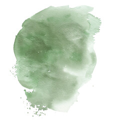 watercolor element in sage green. PNG