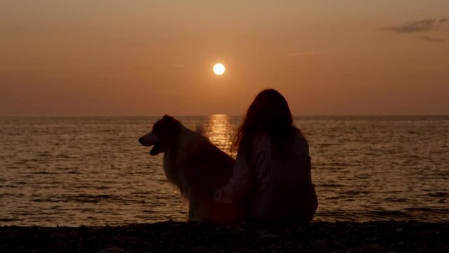 Border collie doggy and woman owner silhouette hug caress each other at the sea beach at beautiful sunset. Spend time together, friendship, vacation concept. Friends forever. Outdoor animal friendship