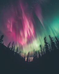 Obraz premium A pink and green aurora display lights up the sky over the silhouette of trees, night photography, ultra realistic, wide angle lens,, generated with ai