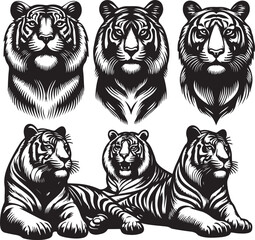 tiger bundle vector
