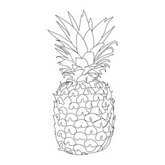pineapple line art vector design 