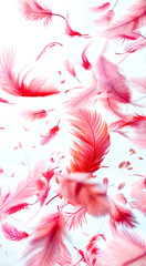 Group of pink feathers floating in the air with blue sky in the background.