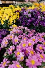 Container gardening, taken using a canon eos r camera, generated with ai