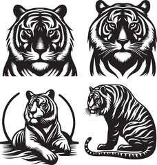 tiger bundle vector