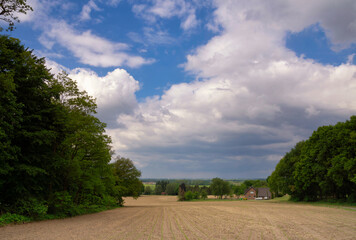 Landscape near Hoch-Elten in Germany