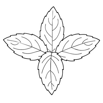 recommend clip art: Spearmint Leaf Outline Icon (Transparent), use in menus, packaging, web design, etc