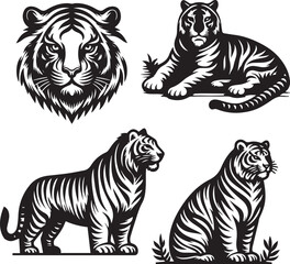 tiger bundle vector