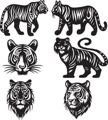 tiger bundle vector