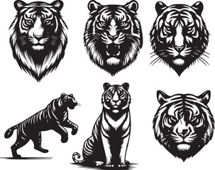 tiger bundle vector