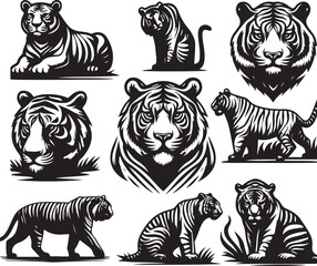 tiger bundle vector