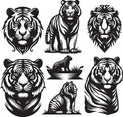 Obraz premium tiger bundle vector