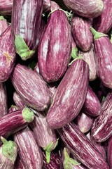 verdura melenzane striate, streaked aubergine vegetable
