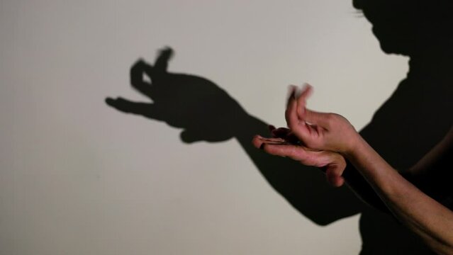 Captivating shadow puppetry hand gestures performance