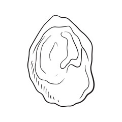 Tasty delicious oyster shell in black isolated on white background. Hand drawn vector sketch illustration in doodle vintage engraved style. Fresh seafood, nutritious, French cuisine, delicacy.