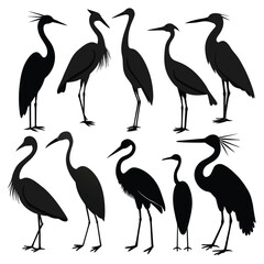Set of Heron animal Silhouette Vector on a white background