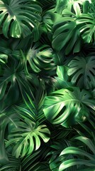 Obraz premium Montera Leaves Wallpaper. Tropical background