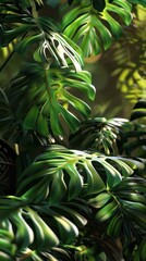 Fototapeta premium Montera Leaves Wallpaper. Tropical background