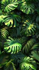 Fototapeta premium Montera Leaves Wallpaper. Tropical background
