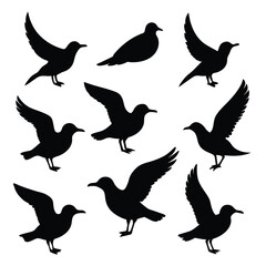 Set of Seagull animal Silhouette Vector on a white background
