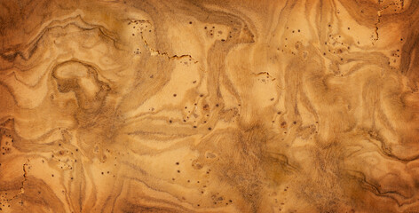 Olive Wood Texture Background, Solid Wooden Burr or Burl Pattern, Burled Wood Wallpaper with Copy...