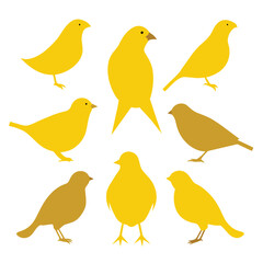 Set of Canary animal Silhouette Vector on a white background