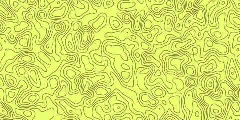Abstract Terrain Map with Freeform Contour Line Art

