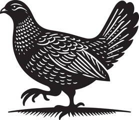 Obraz premium grouse Vector Illustration