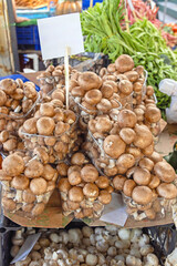 Brown Cremini Mushrooms in Plastic Trays at Farmers Market
