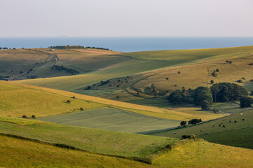 A view over green fields in rural Sussex with the ocean behind