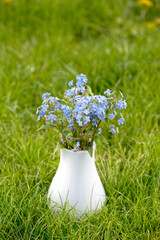 Forget-me-not flowers on green grass