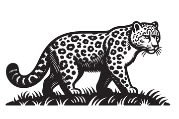 Snow Leopard. Black engraved vector illustration. Emlem, logo