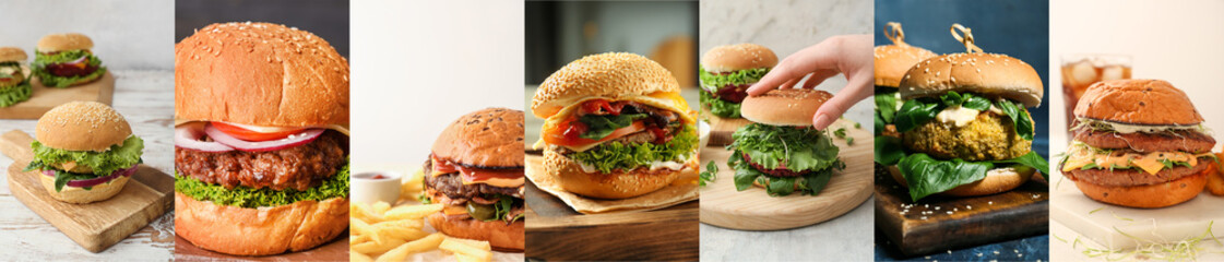 Collage of many different tasty burgers