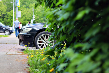 The front of the car can be seen peeking out from behind the bushes.