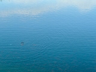 blue water surface