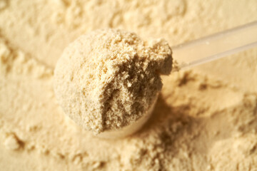 Whey protein powder in a measuring spoon