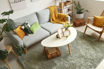 Interior of stylish living room with sofa, plants and frames on table