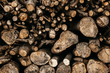 Texture of laid out round firewood